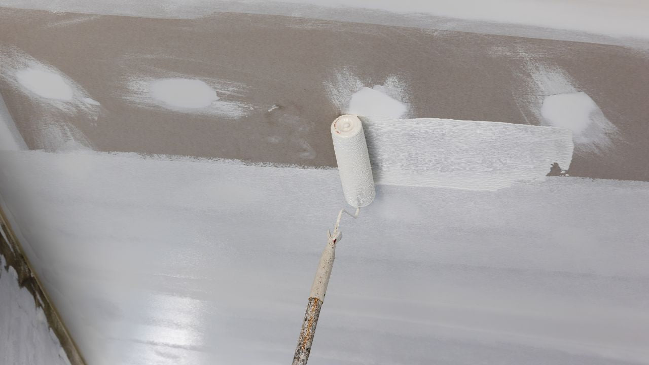 What is a primer sealer paint